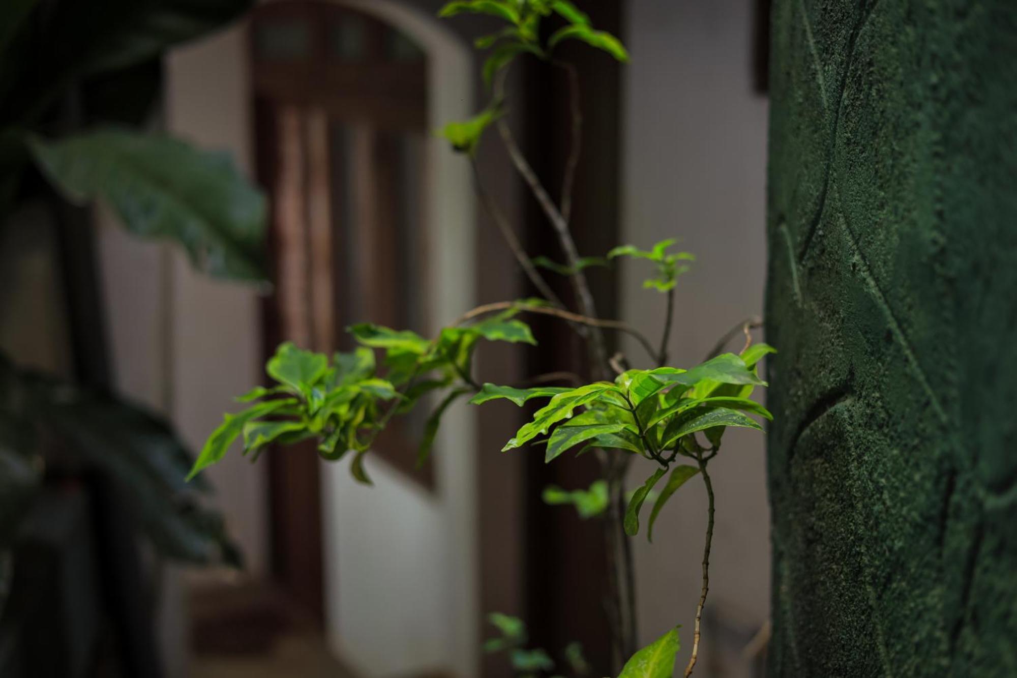 Cielo Residence 康提 外观 照片